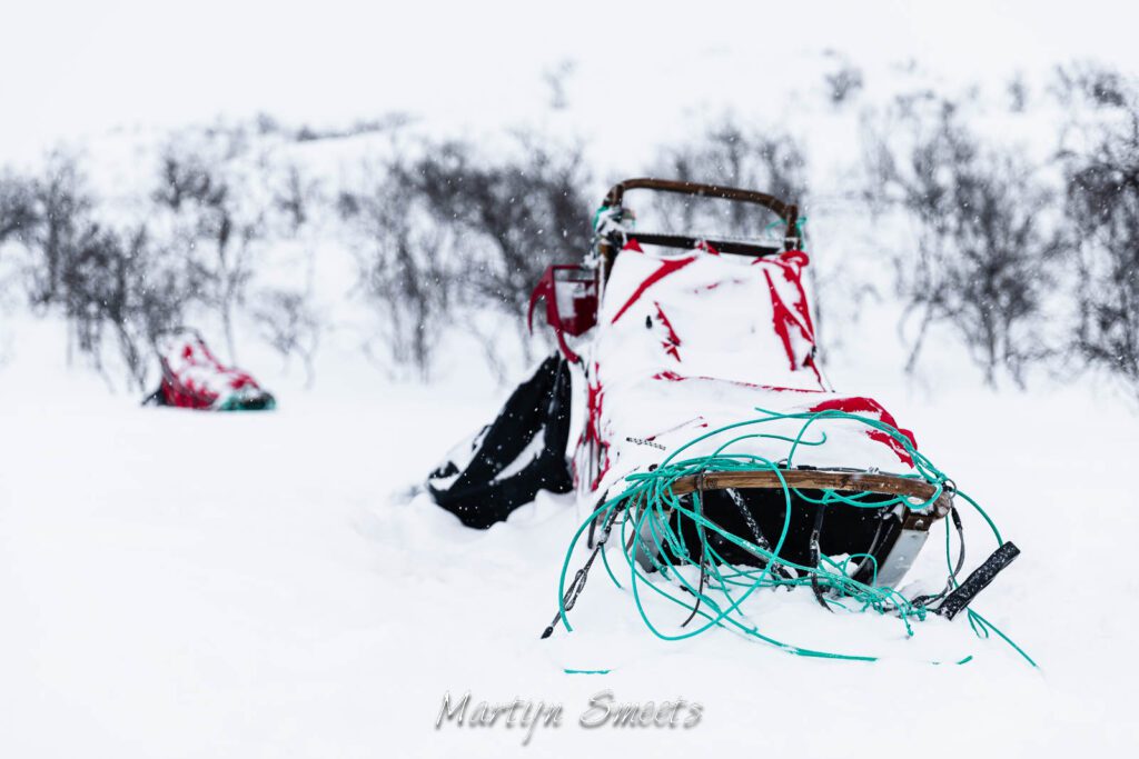 Sleds parked for the night during a dogsledding expedition.