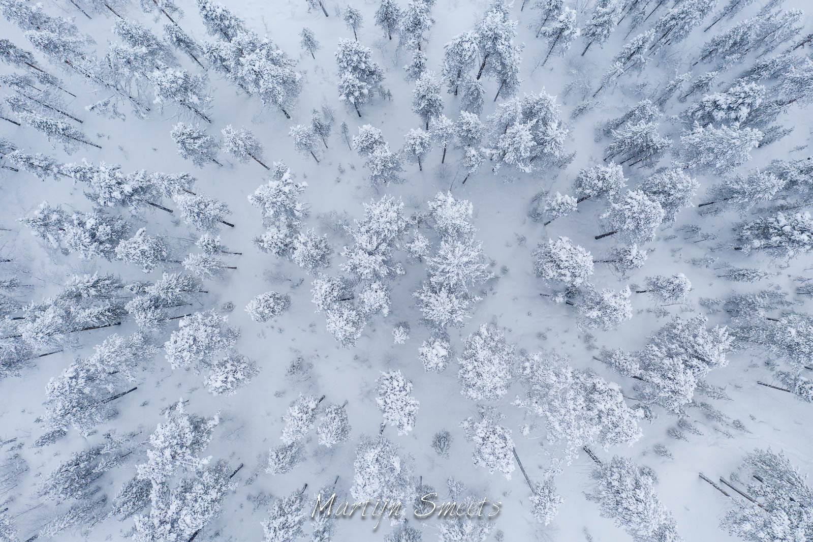 Aerial view of a forest in Sweden in winter.