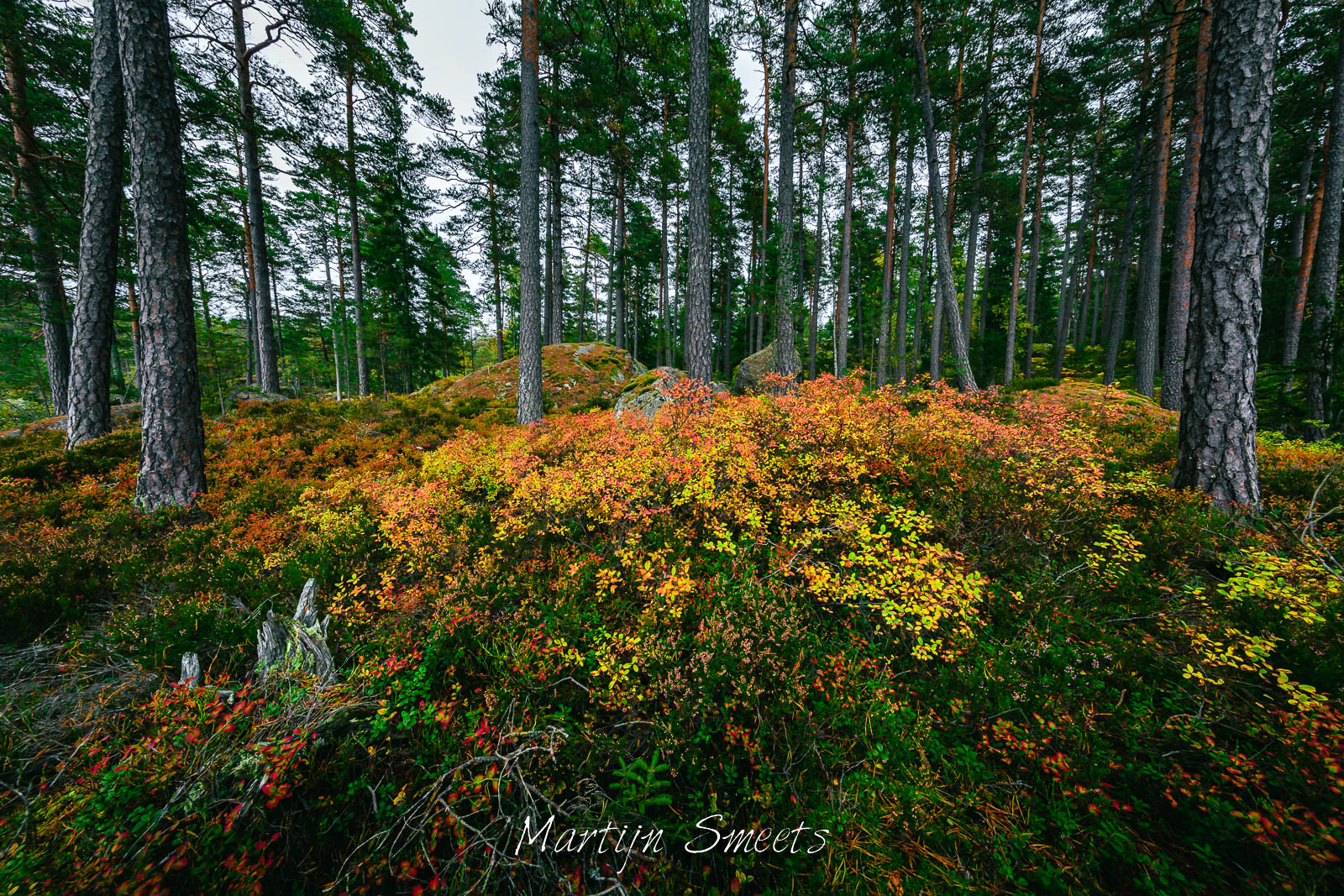 Autumn landscape in Tiveden National Park, Sweden