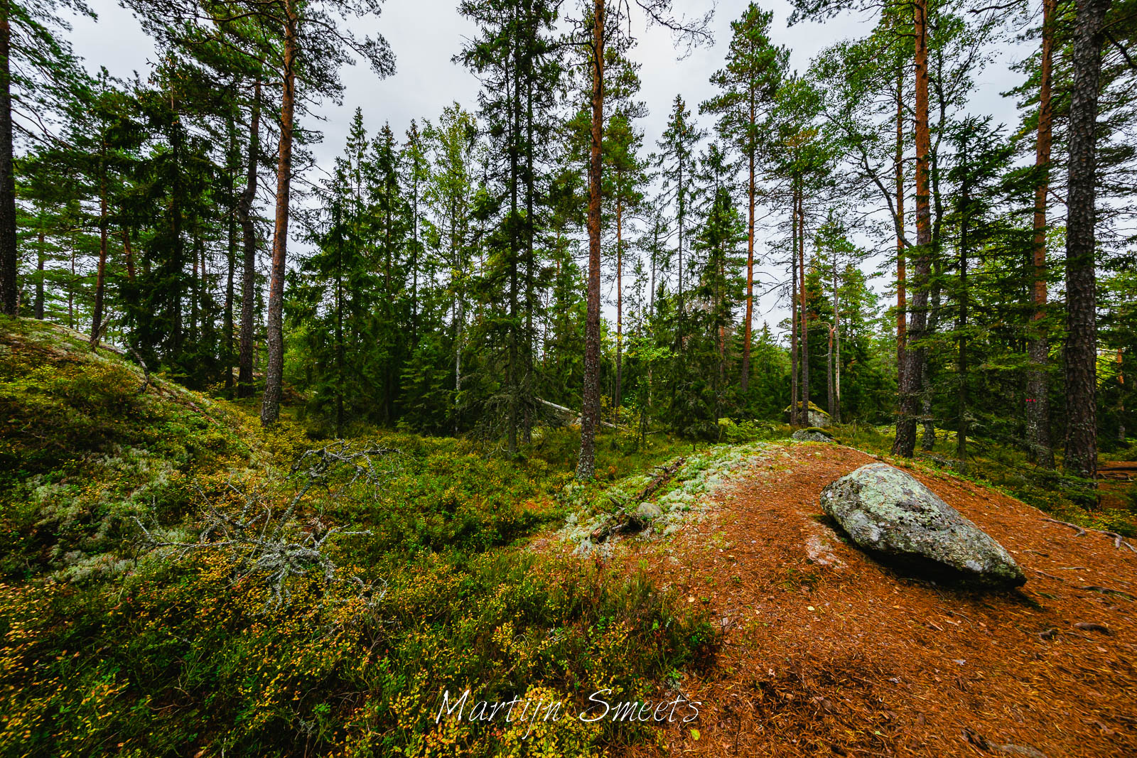 Autumn landscape in Tiveden National Park, Sweden
