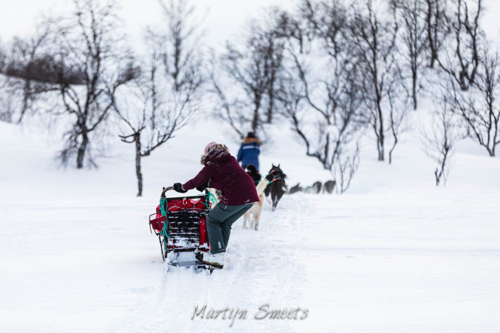 Manoeuvring on the sled during a dogsledding expedition.